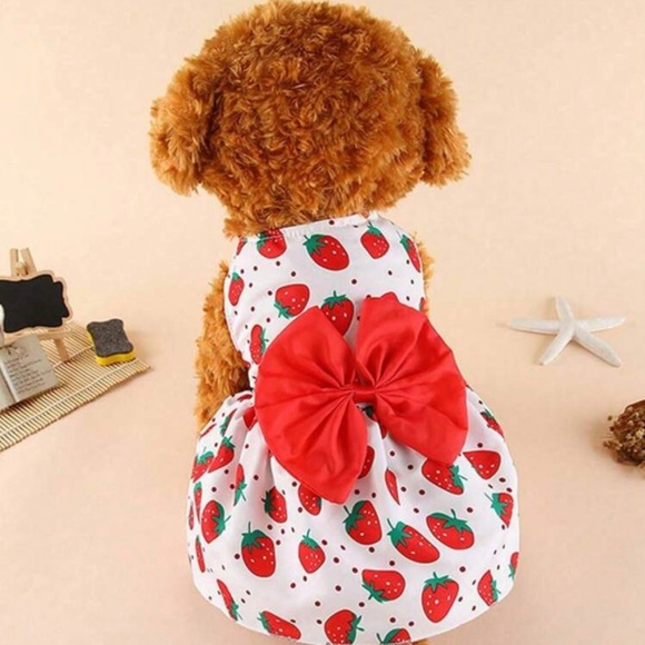Strawberry Dog Dress with Red Bow - Picture 1 of 1